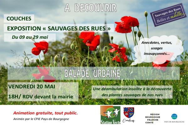 Exposition Plantes belles et rebelles sauvages de rue Couches